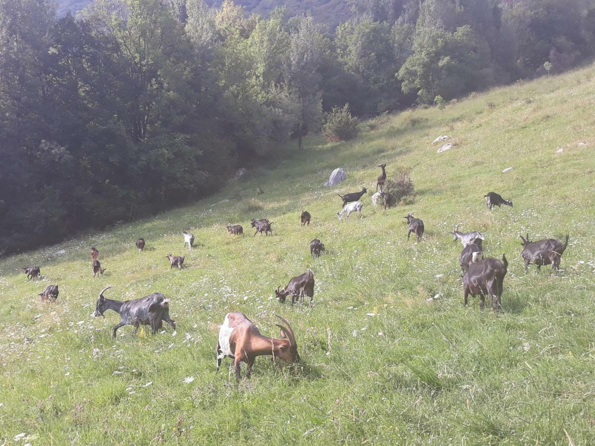 Apartmaji Berginc Kobarid Bagian luar foto
